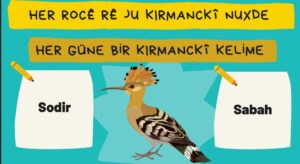 Ekran görüntüsü 2022-12-20 011657