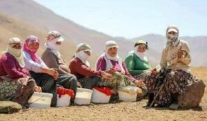 Ekran görüntüsü 2023-01-09 000253