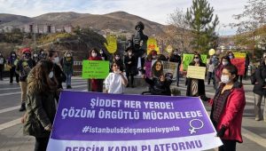 690x390cc-drsm-23-11-2023-dersim-kadin-25-kasim-cagri