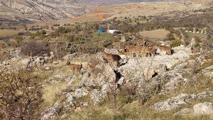 009_2023_001_2023_30_Aralik_AA-33086165