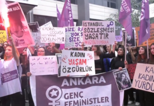 Ekran görüntüsü 2024-10-12 190252