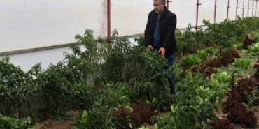hasatta-son-donemece-girildi-soguga-direndi-tezgahta-yerini-aldi-simdi-bereket-zamani-airx.jpg