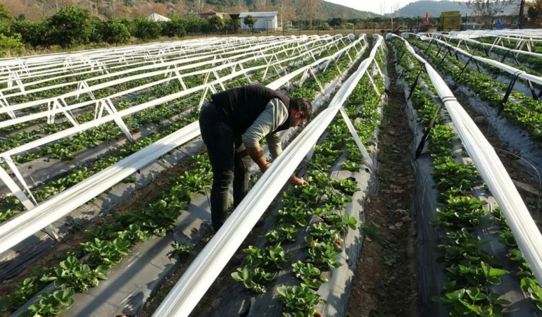 konutta-20-ay-sonra-bir-ilk-emlak-uzmani-tam-zamani-dedi-o-tarihte-sektorde-kiyamet-kopacak-n1uv.png