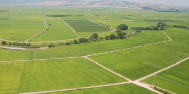 tarim-arazisi-olan-herkesi-ilgilendiriyor-hisseli-tapusu-olanlar-dikkat-bunu-yapan-yandi-gecerli-ola.jpeg