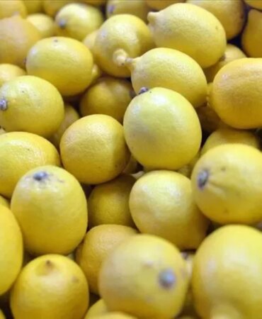 4300-limonun-suyunu-iki-katina-cikaran-basit-yontem-mikrodalga-firinda-isitin.jpg