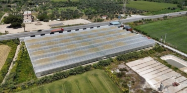 tukettigi-meyve-sayesinde-30-kilo-birden-verdi-uretimine-basladi-paraya-para-demiyor-4vhf.jpg