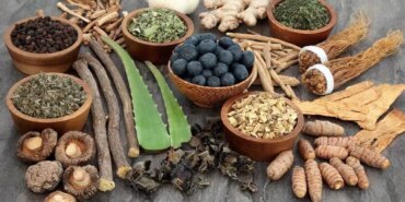 9168-adaptogen-bitkiler-nedir-ne-ise-yarar.jpg