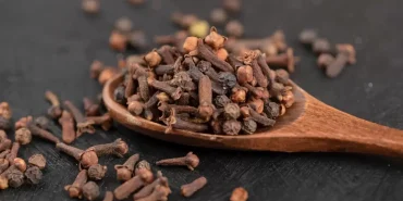 9372-karanfil-cignemek-ne-ise-yarar-faydalari-nelerdir.jpg