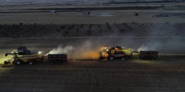 mardin-ovasinda-gece-gunduz-hasat-yapiliyor-herkes-24-saat-tarlada-calisiyor-c83n.jpg