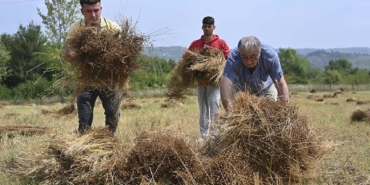 yolarak-hasat-edildi-40-yil-sonra-toprakla-bulustu-ayakta-alkislandi-gorenler-hayran-kaldi-ybmh.jpg