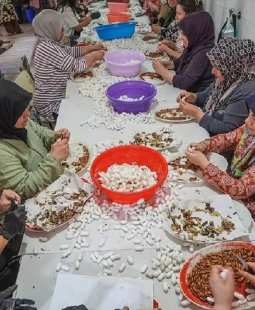 130-kisi-ordu-gibi-tek-tek-ayikliyor-ucretsiz-dagitiyor-20-gun-suruyor-turkiyede-sadece-orada-uretil.jpeg