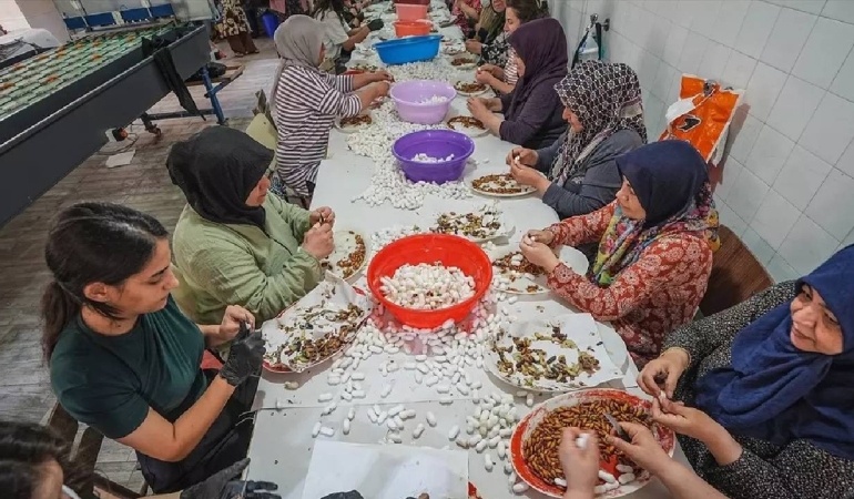 130-kisi-ordu-gibi-tek-tek-ayikliyor-ucretsiz-dagitiyor-20-gun-suruyor-turkiyede-sadece-orada-uretil.jpeg