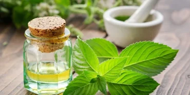 6028-yaz-aylarinda-bas-agrisina-en-dogal-ve-etkili-cozum.jpg