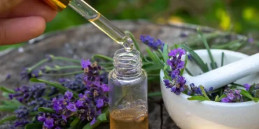 9378-ev-temizliginde-parfum-yerine-lavanta-yagi-donemi.jpg