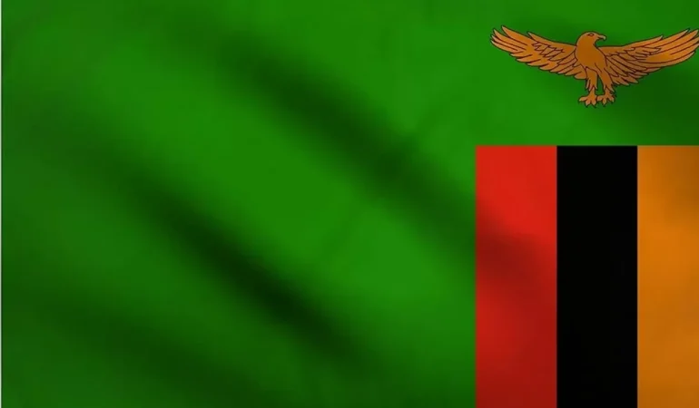 9901-zambiyanin-telefon-kodu-plaka-kodu-para-birimi-ve-alan-adi-uzantisi-nedir.jpg